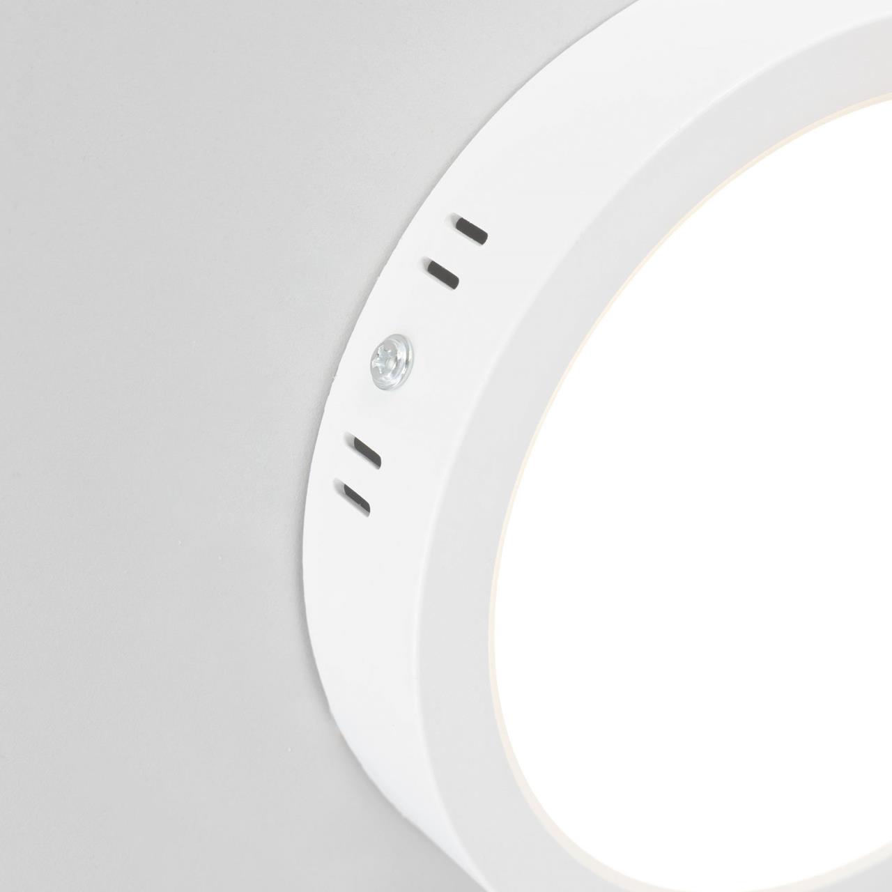 Накладной светильник Citilux Галс CL5516N в Москве