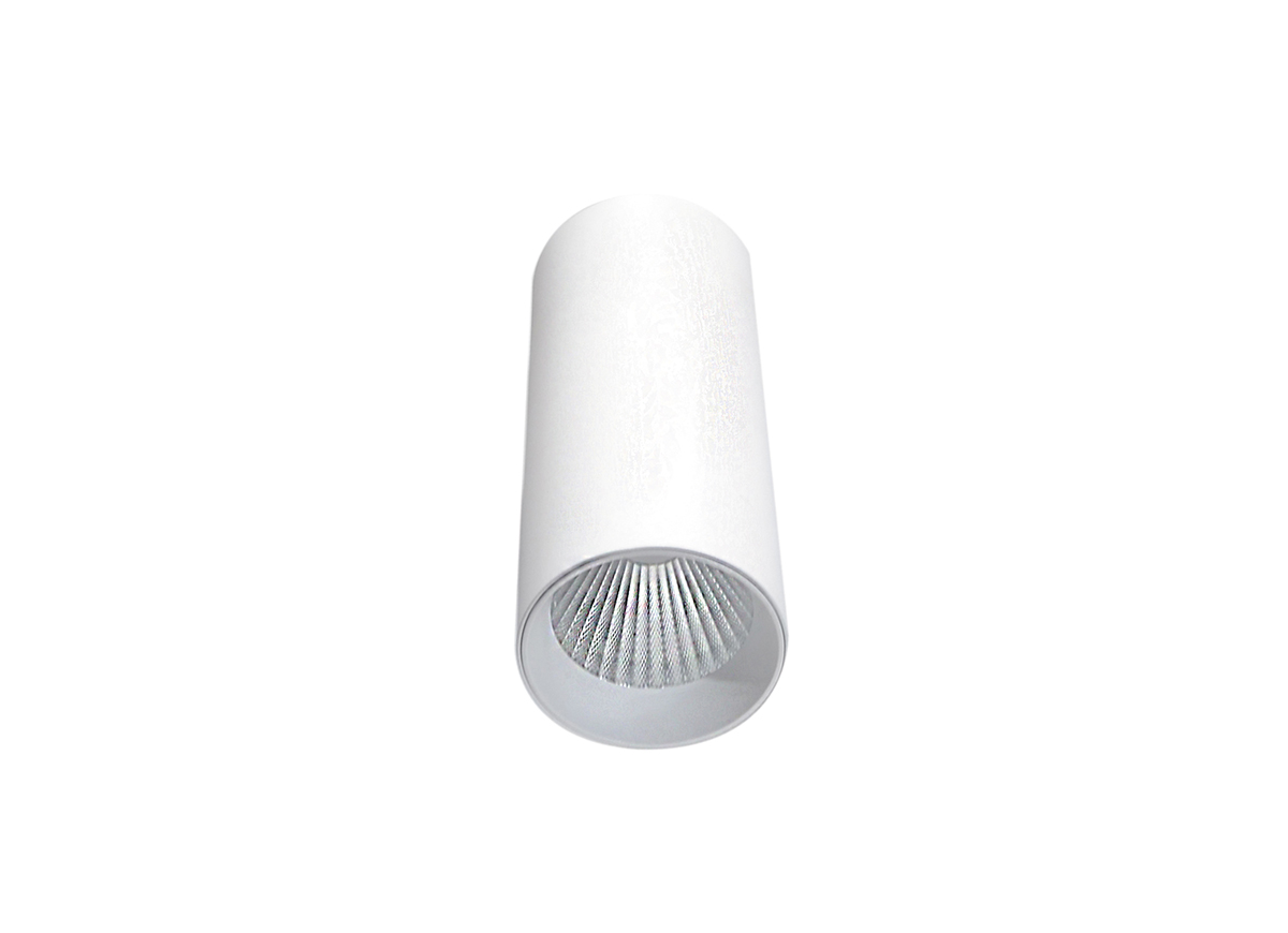 Накладной светильник Donolux Rollo DL18895R15N1W