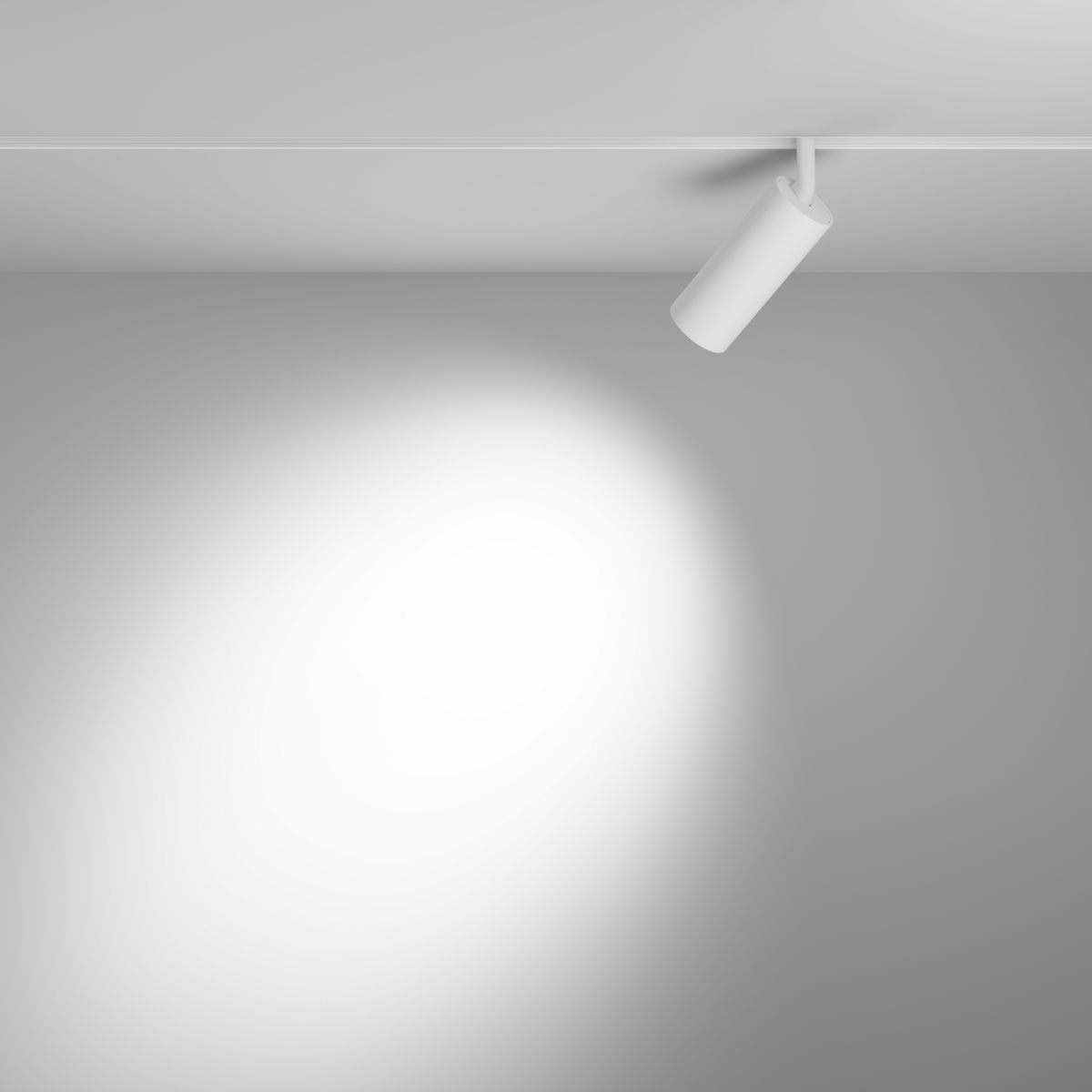 Трековый магнитный светильник Maytoni Focus LED TR032-4-12WTW-M-DD2-W