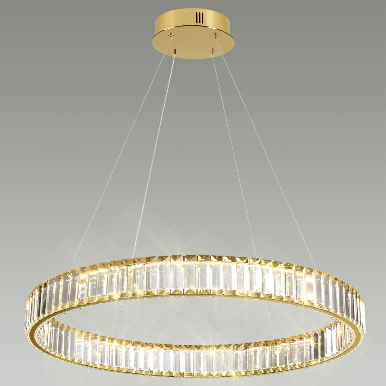 Подвесная люстра кольцо Odeon Light Vekia 5015/45L