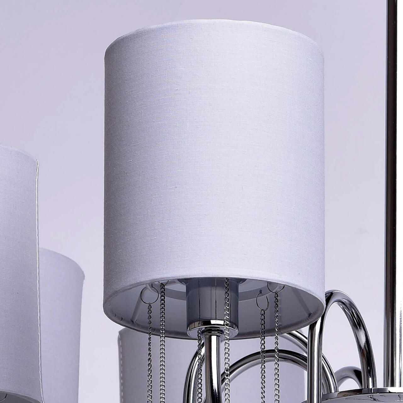 Потолочная люстра MW-Light Федерика 80 379018608