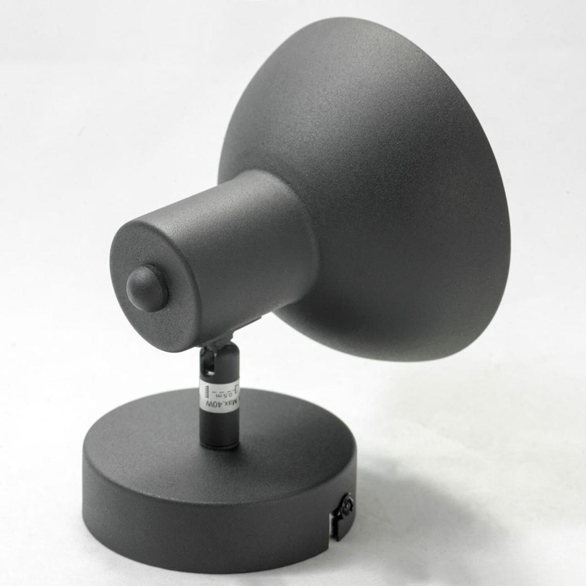 Спот Lussole Loft LOUISVILLE GRLSP-9973