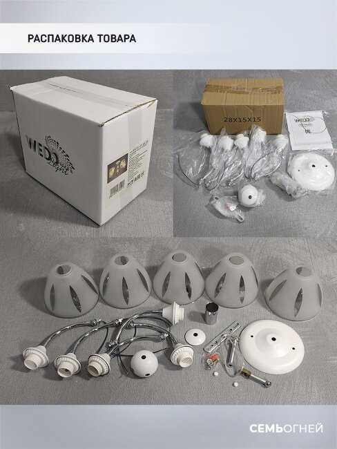 Потолочная люстра для низкого потолка Wedo Light Ayna WD3521/5C-WT-CR-WT