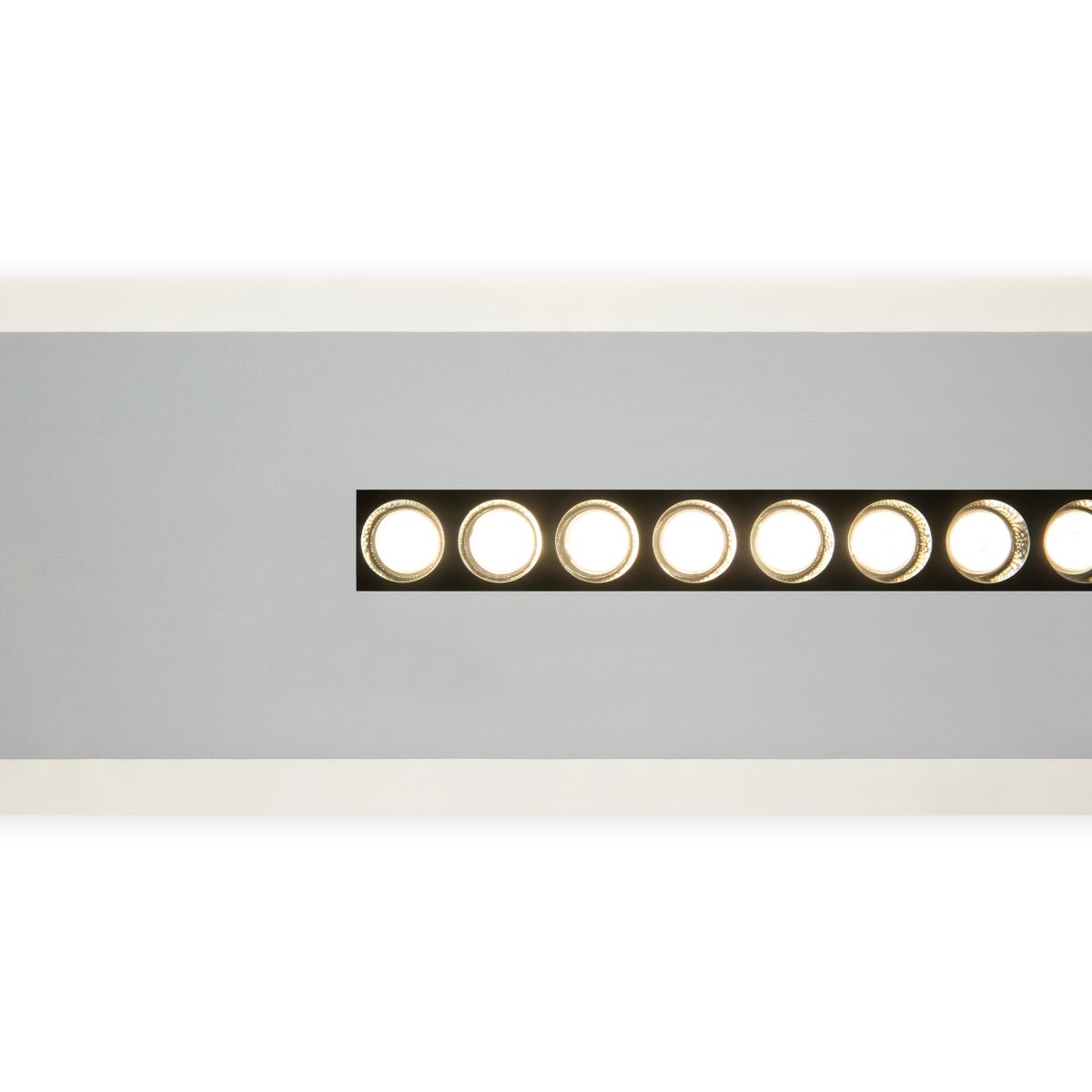 Потолочный светильник Freya Shine FR6105CL-L40W