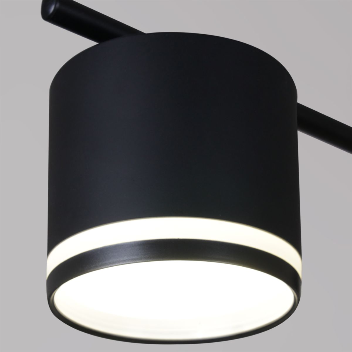 Потолочная люстра Reluce 22008-0.3-10 GX53