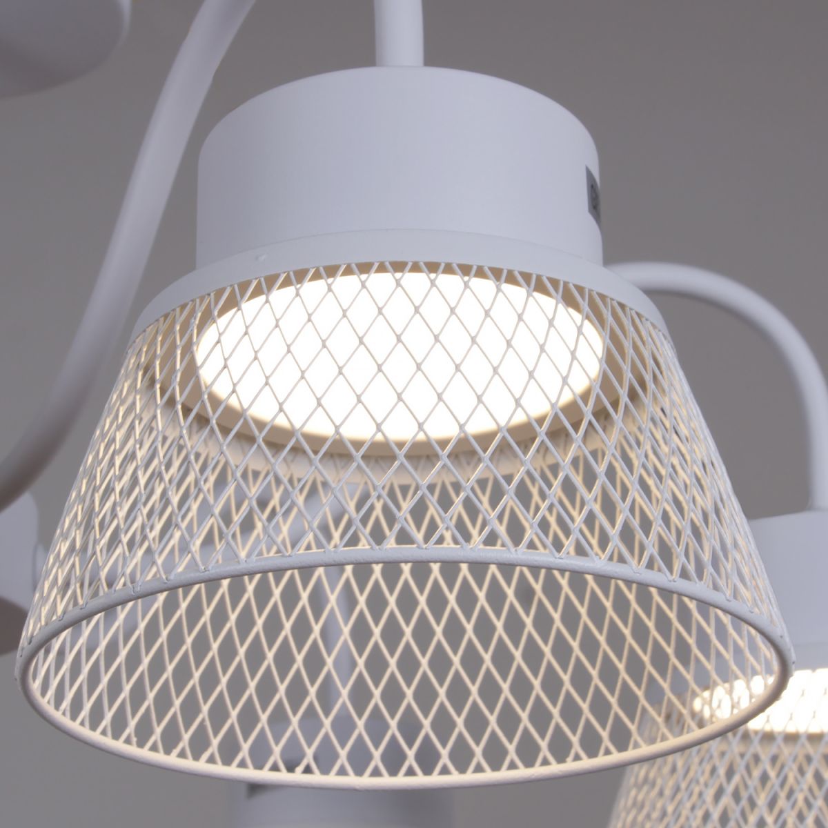 Люстра на штанге Reluce 99010-0.3-06 WT