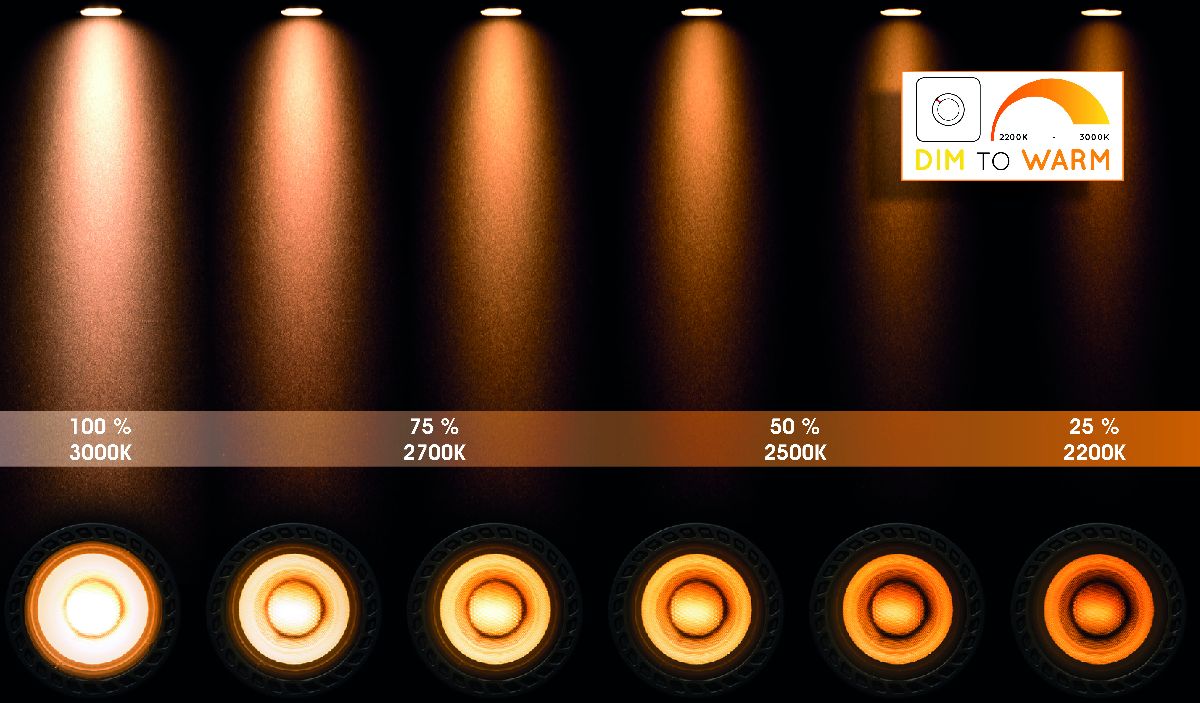 Спот Lucide Tala Led 31931/36/31