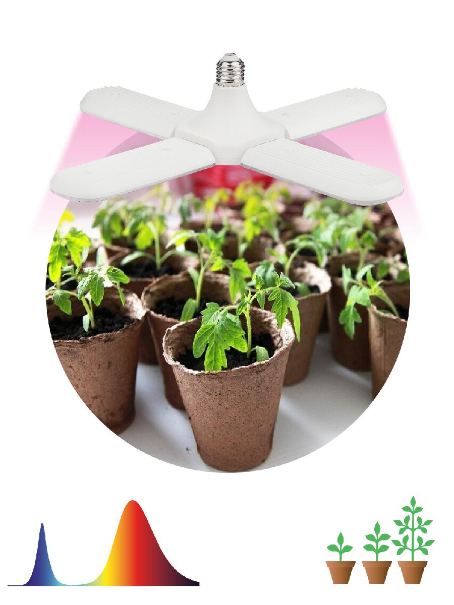 Светильник для растений Эра FITO-36W-RB-E27-FOLD Б0053289