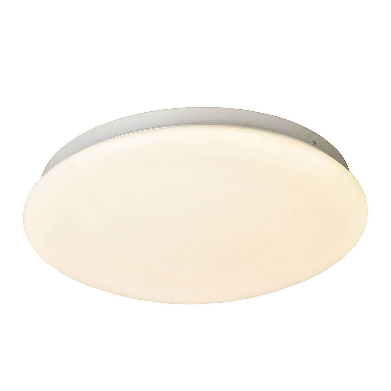 Потолочный светодиодный светильник F-Promo Ledante 2469-2C
