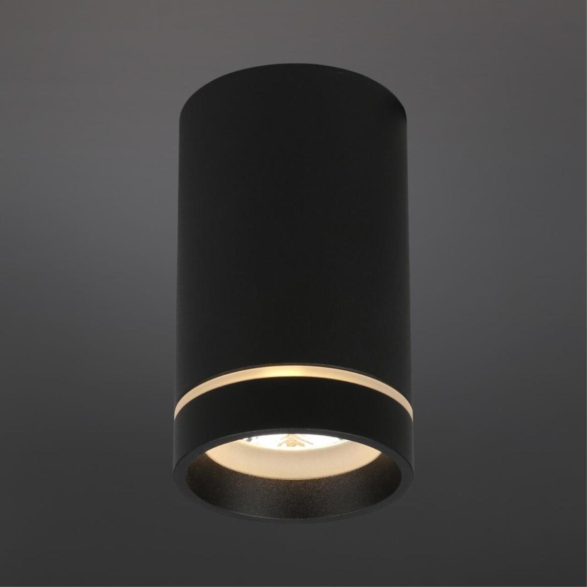 Потолочный светильник Aployt Edda APL.0053.19.10