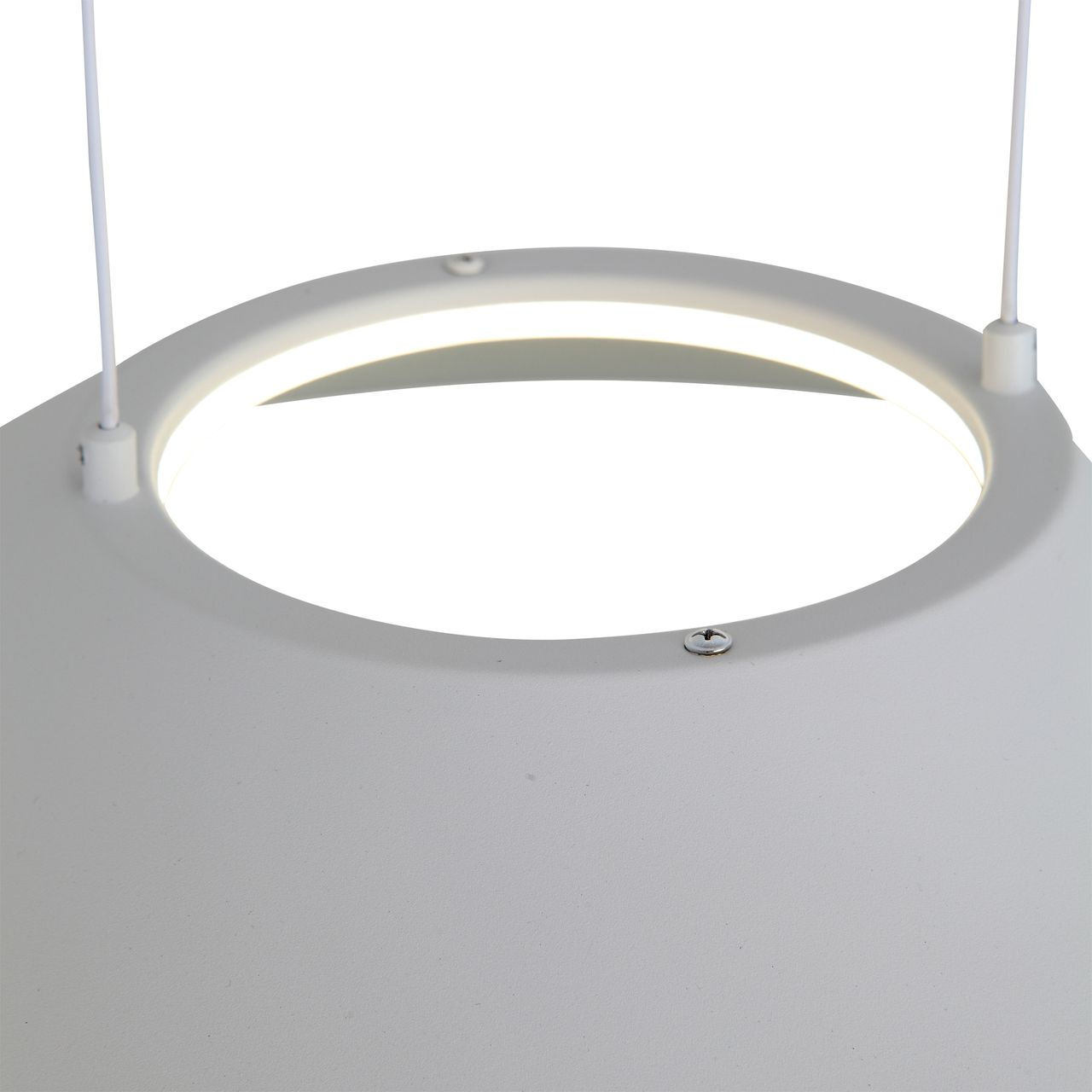 Подвесной светодиодный светильник ST Luce Pitto SL427.513.01