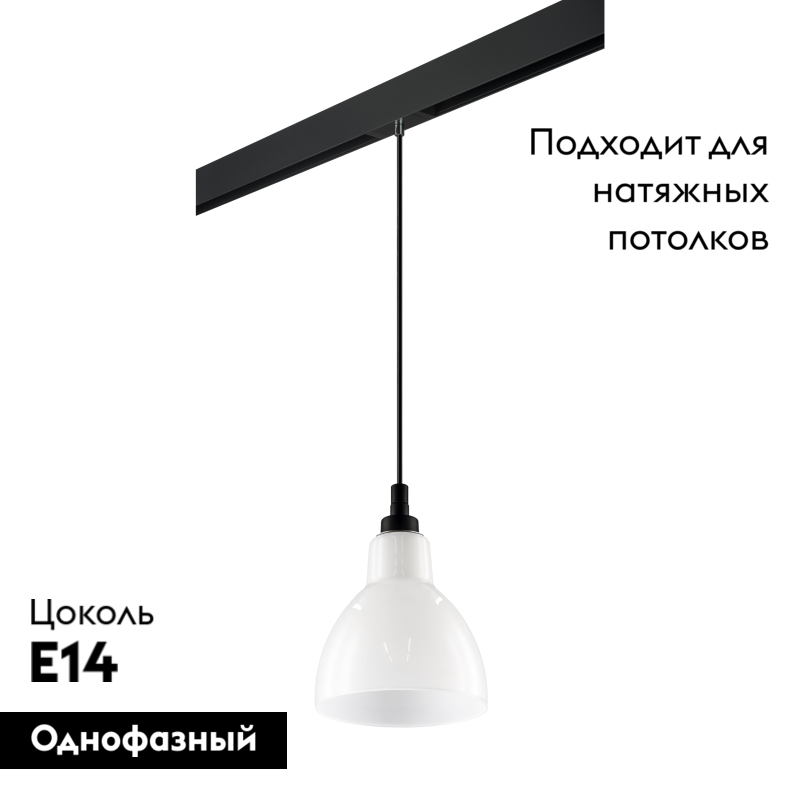 Трековый светильник Lightstar Loft PRO865017 (865017+595007)