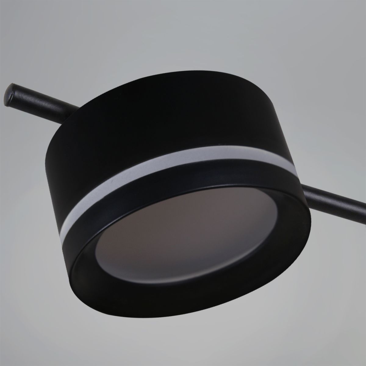 Потолочная люстра Reluce 10590-0.3-06 Black