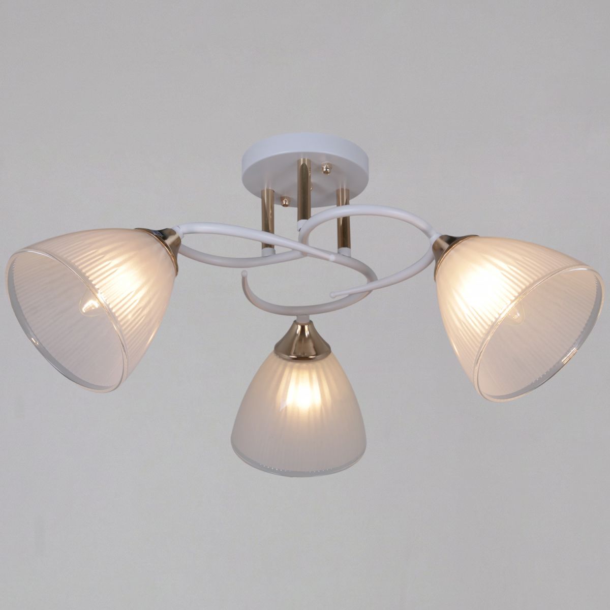 Потолочный светильник Reluce 04360-0.3-03 WH+FG