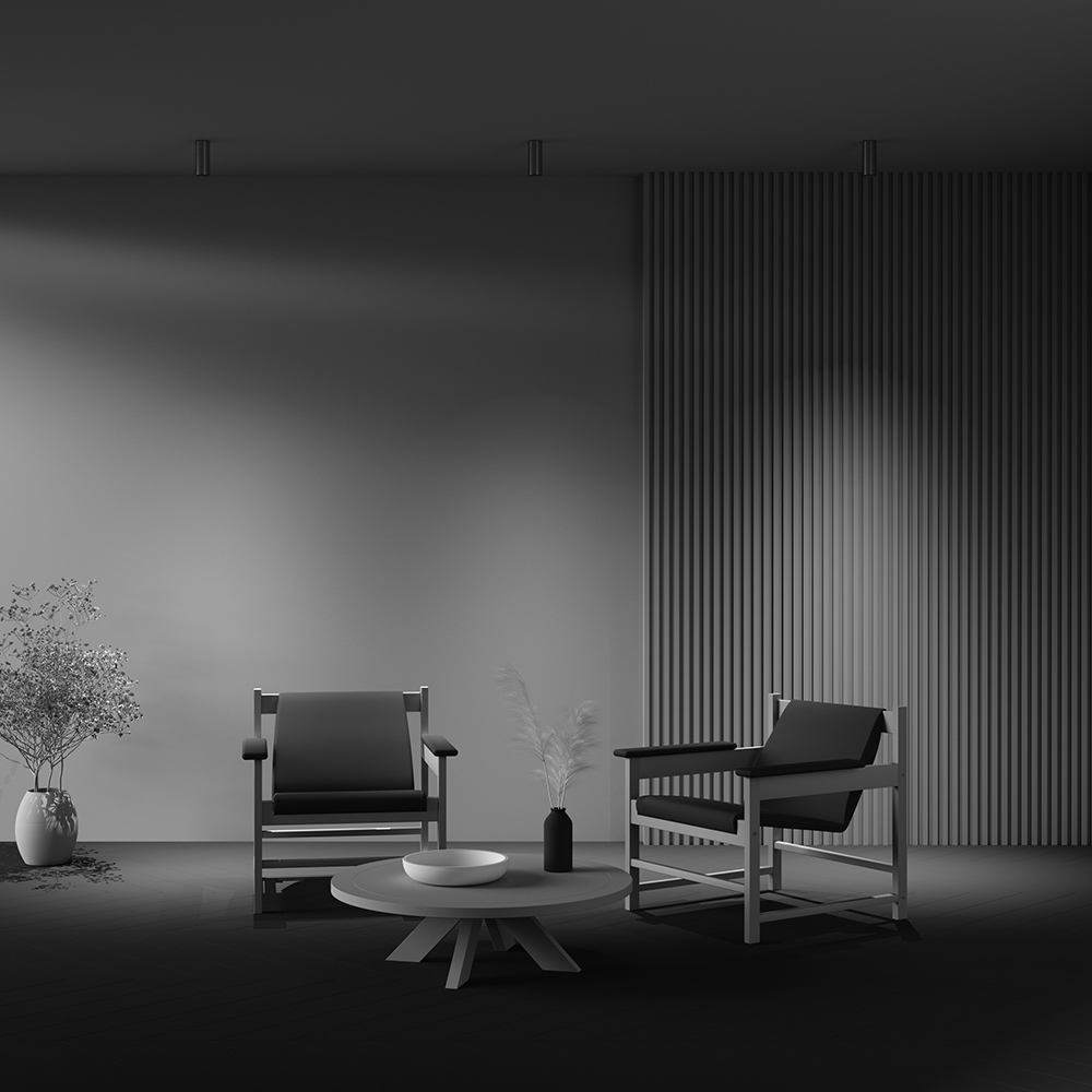 Потолочный светильник Maytoni Technical Focus Led Focus Led C056CL-L12W3K-W-PT