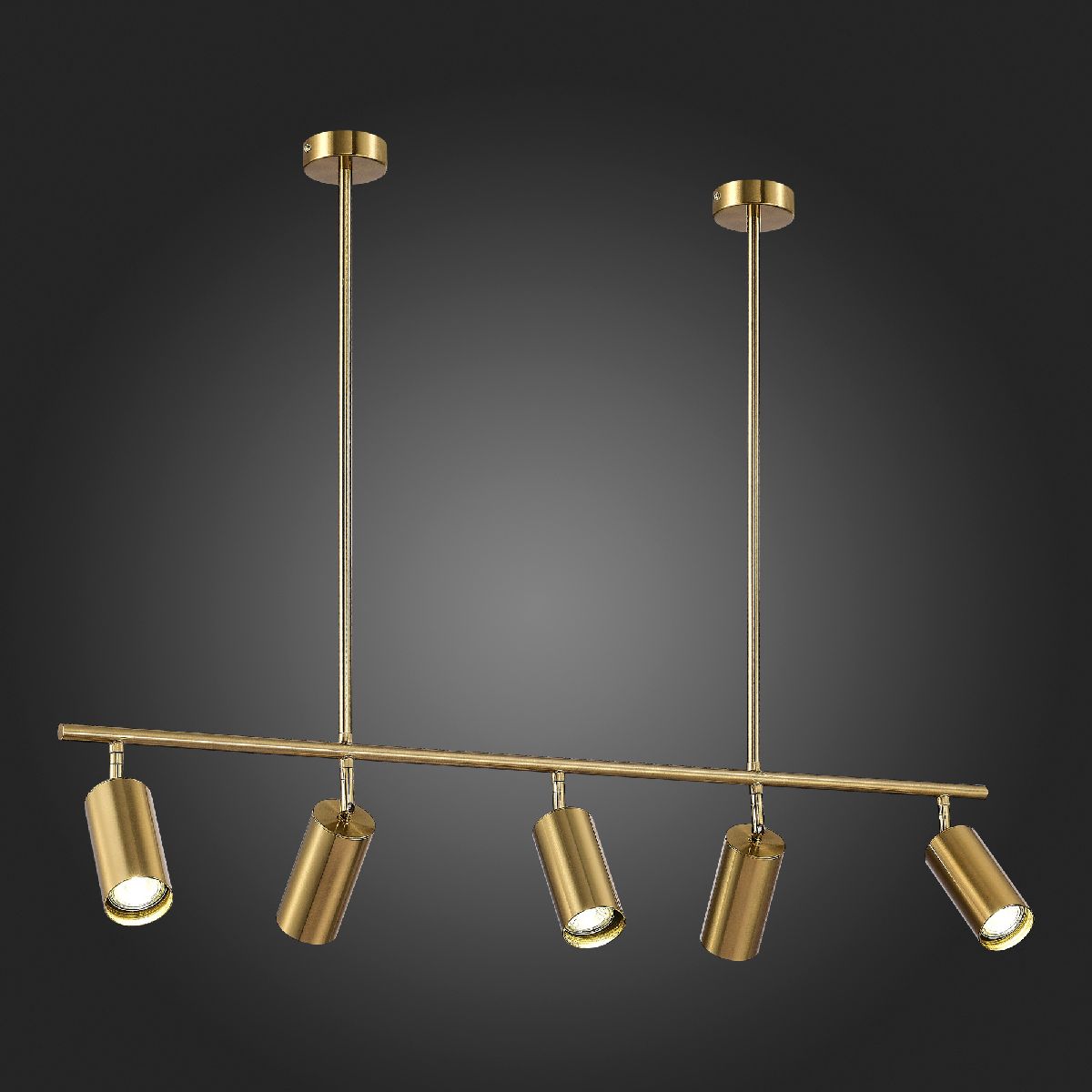 Подвесной светильник ST Luce Sormano SL1206.303.05