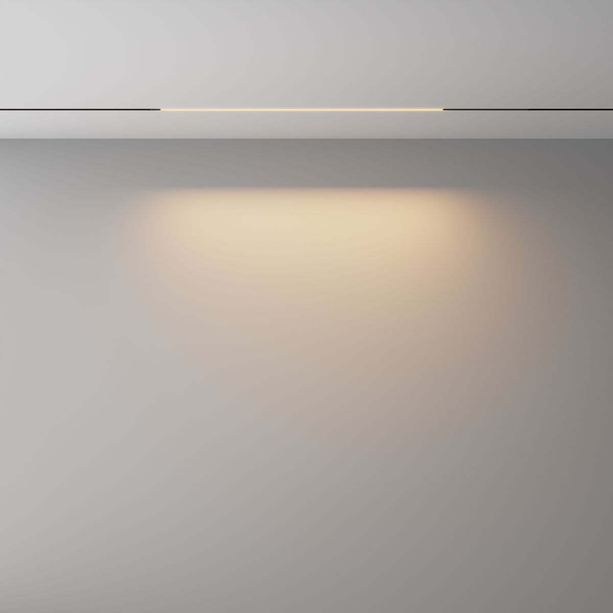 Трековый магнитный светильник Maytoni Technical Basis Exility X TR240-4-12WTW-DSZ-B