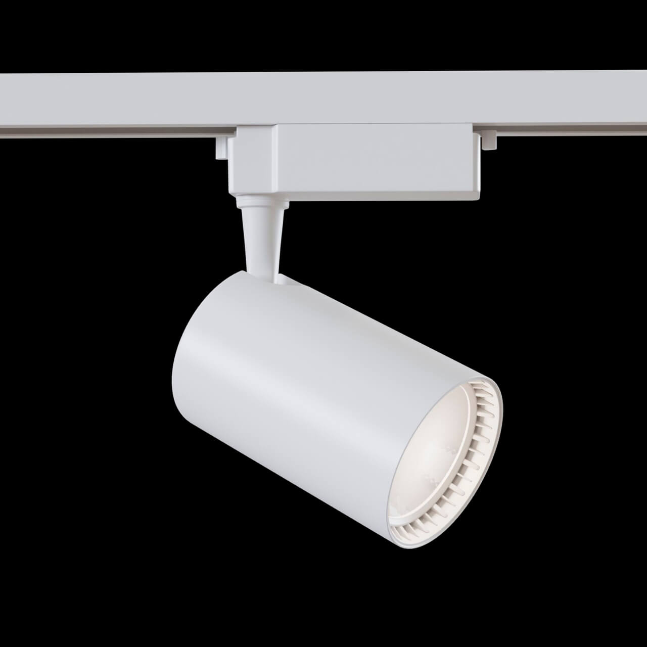 Трековый светильник Maytoni Track lamps TR003-1-30W3K-W