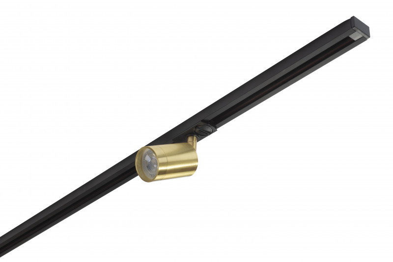 Трековый светильник (золото) Denkirs DK620 DK6201-BS