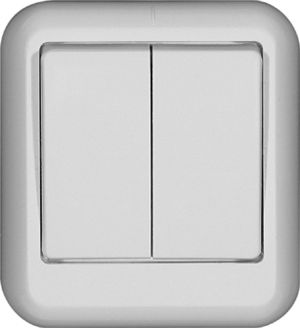 Выключатель 2-клавишный Schneider Electric Прима A56-029I-BI