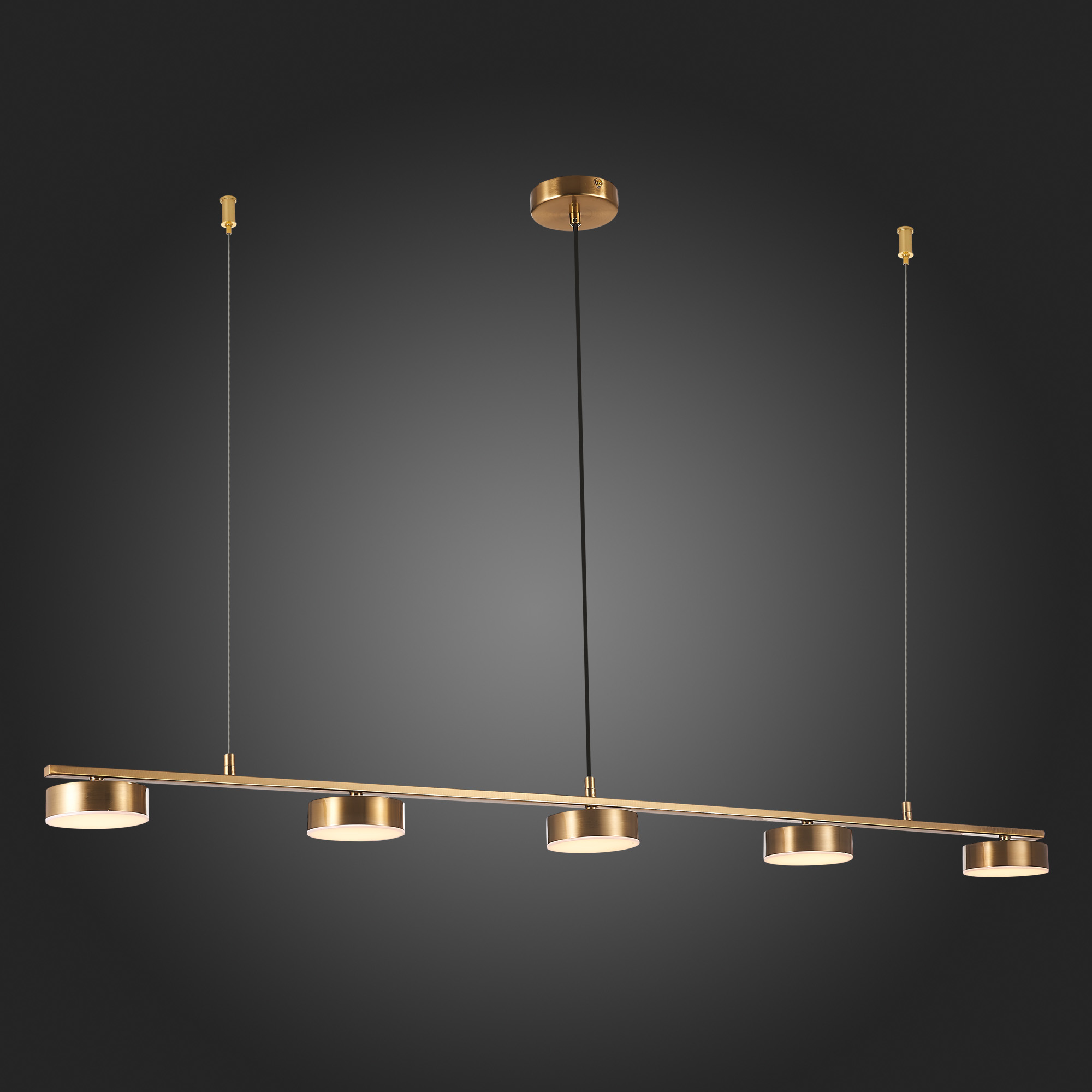 Подвесная светодиодная люстра ST Luce Pances SL6000.303.05 в Москве