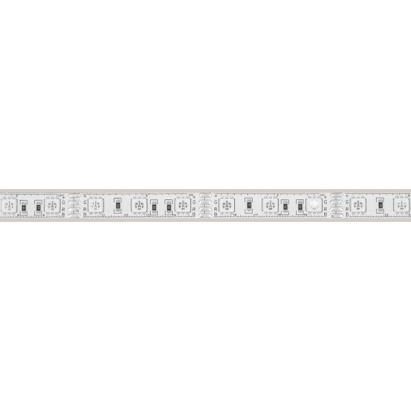 Светодиодная лента герметичная Arlight RTW-PU-B60-12.5mm 12V RGB (14.4 W/m, IP68, 5060, 5m) 029599(2)