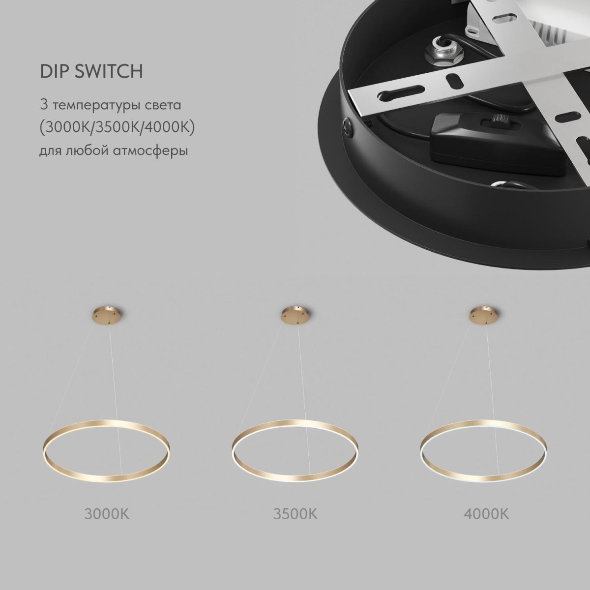 Подвесной светильник Denkirs Raydia DK6273-SG