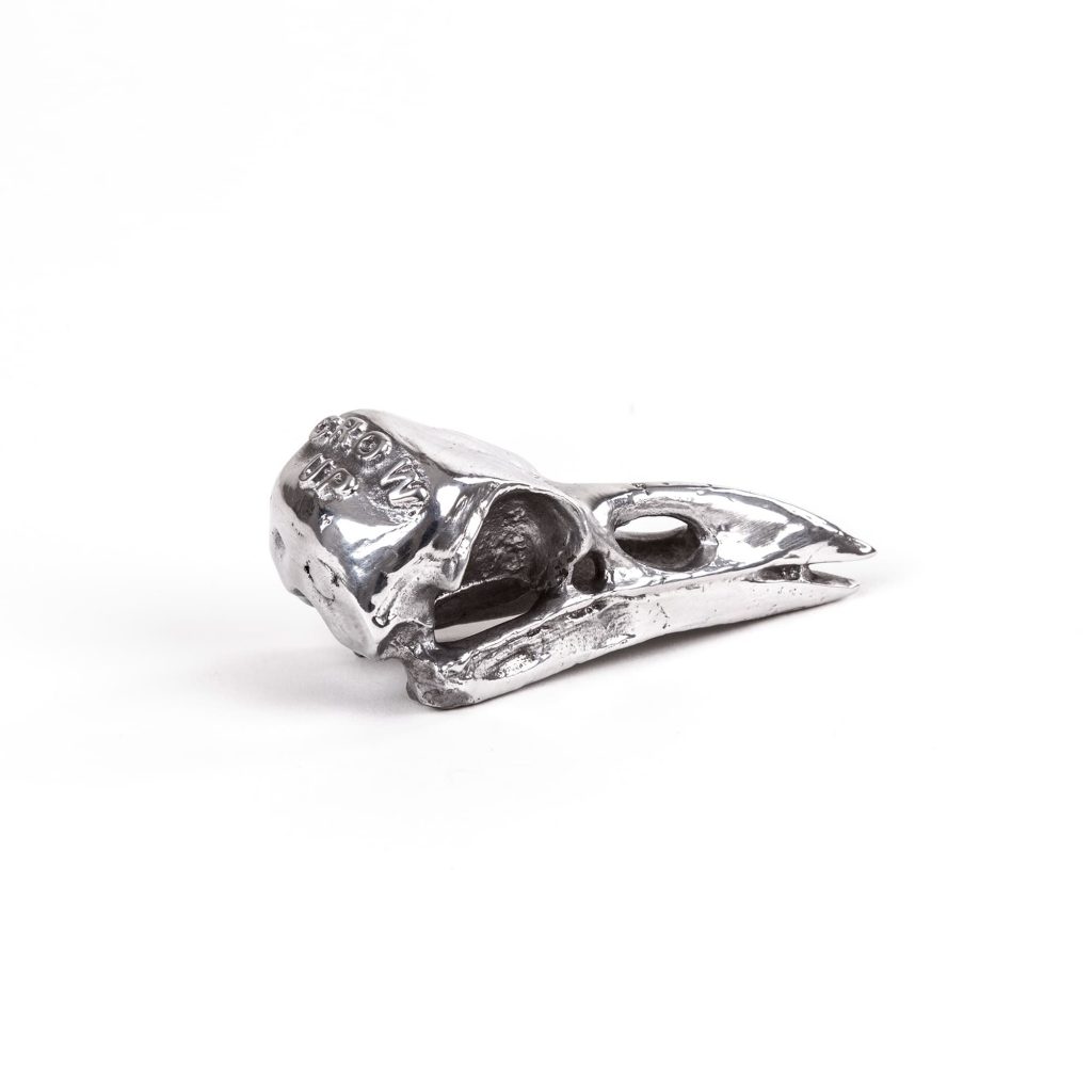 Статуэтка Bird Skull Seletti Wunderkammer 10895