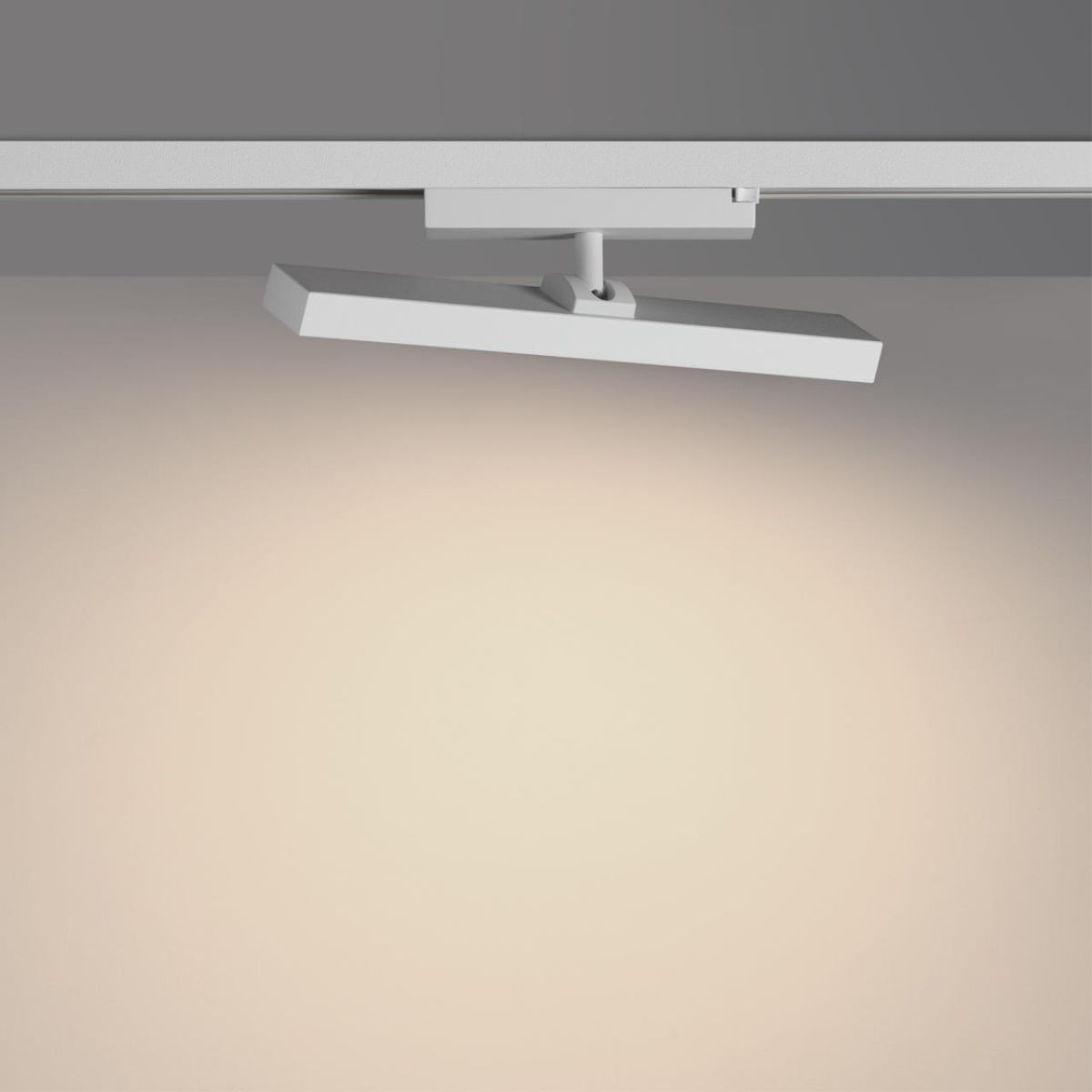 Трековый однофазный светильник с переключателем цв. температуры Novotech Port Stratus 359781