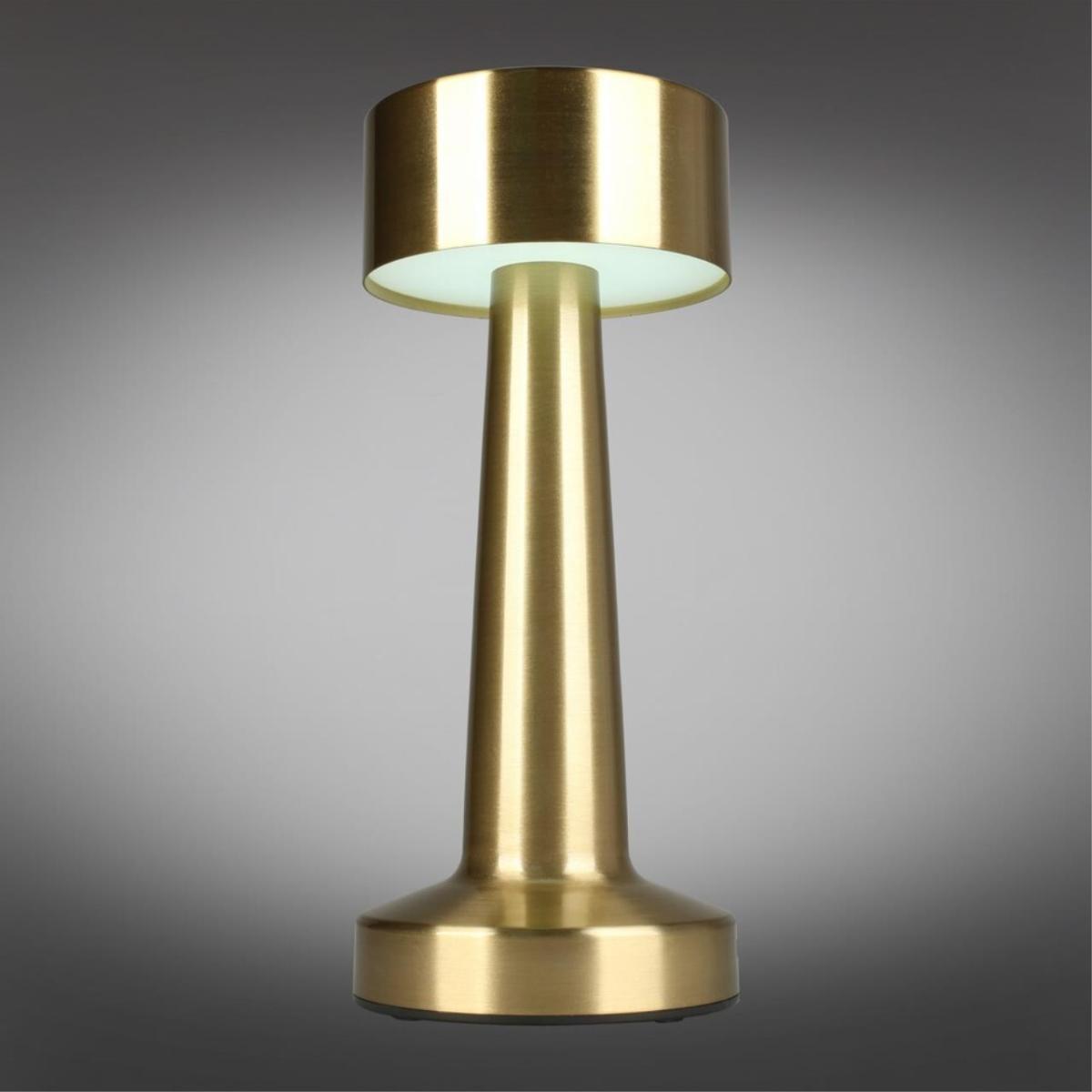 Настольная лампа Aployt Perrayn APL.671.04.01