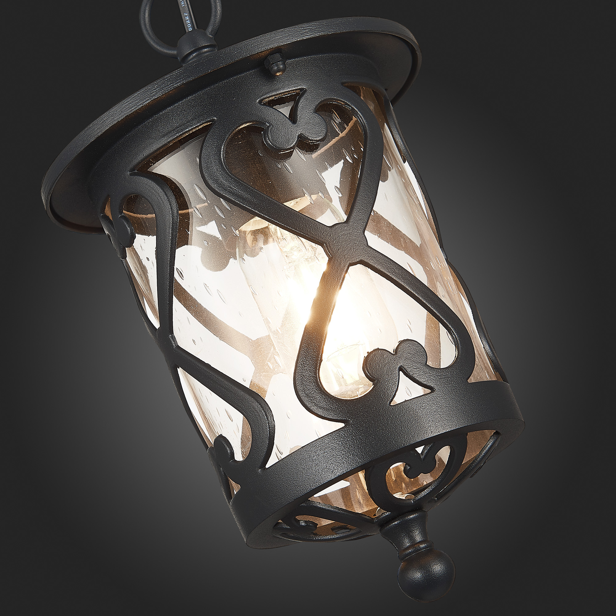 Уличный подвесной светильник ST Luce Lorne SL085.403.01