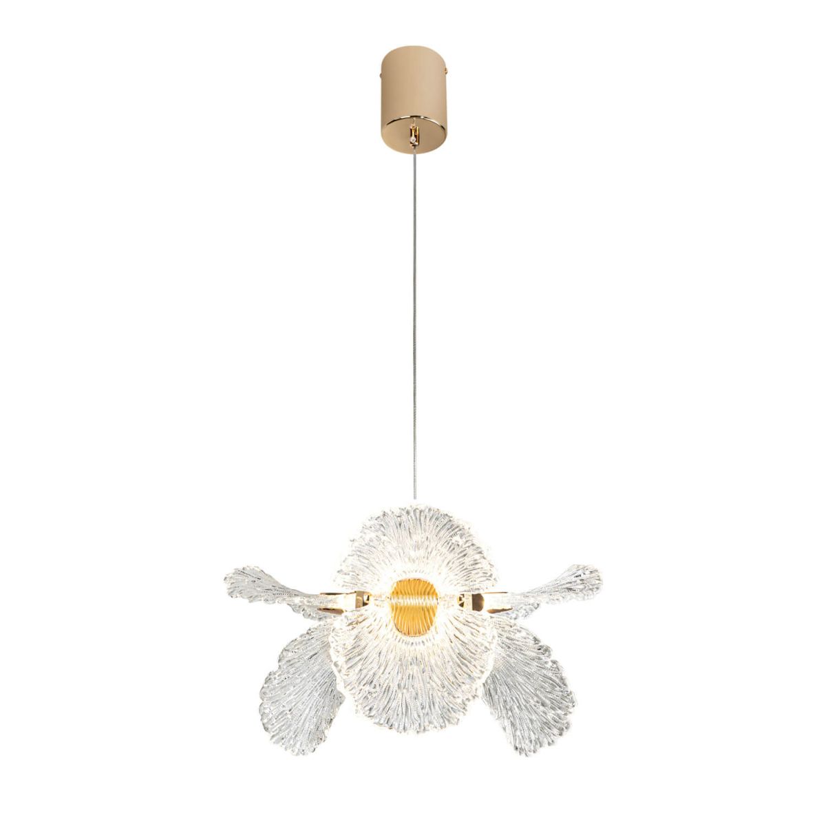 Подвесная светильник Modelight MDL.89092.350HC GD