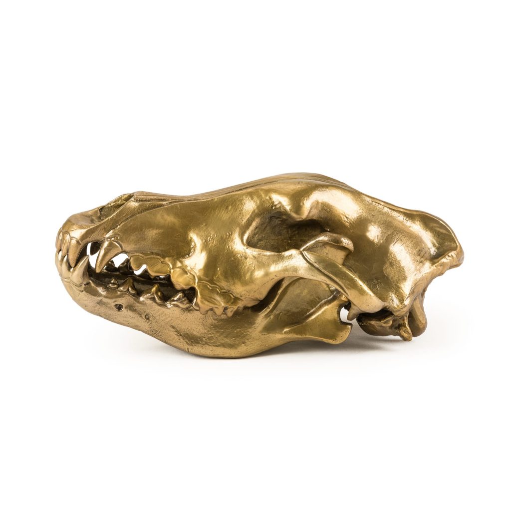 Статуэтка Wolf Skull Seletti Wunderkammer 10892