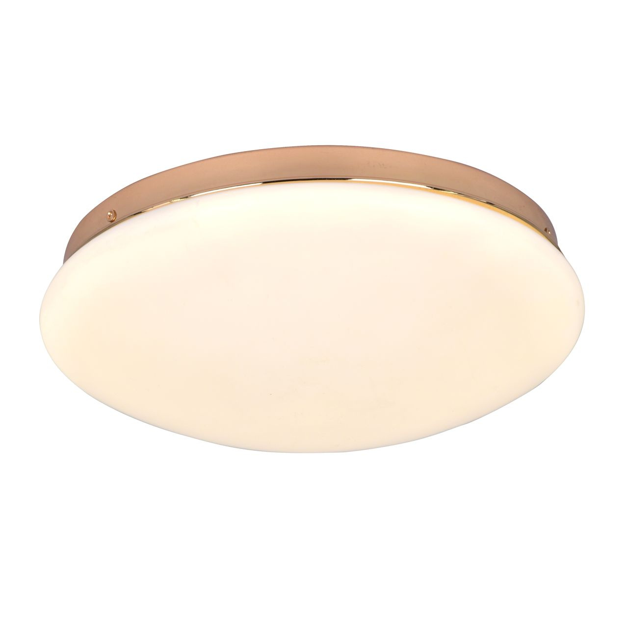 Потолочный светодиодный светильник F-Promo Ledante 2465-2C