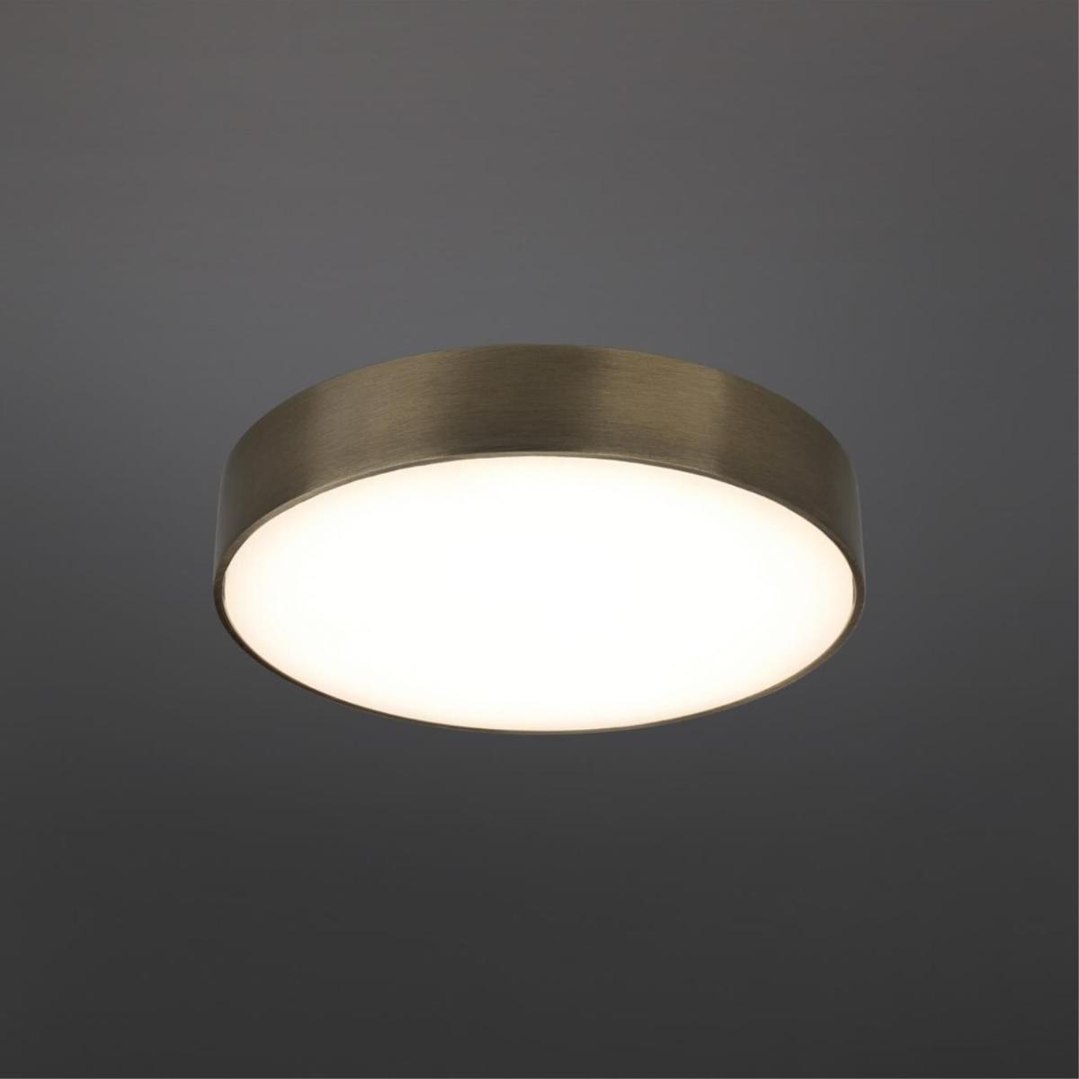 Потолочный светильник Aployt Evon APL.0114.29.24