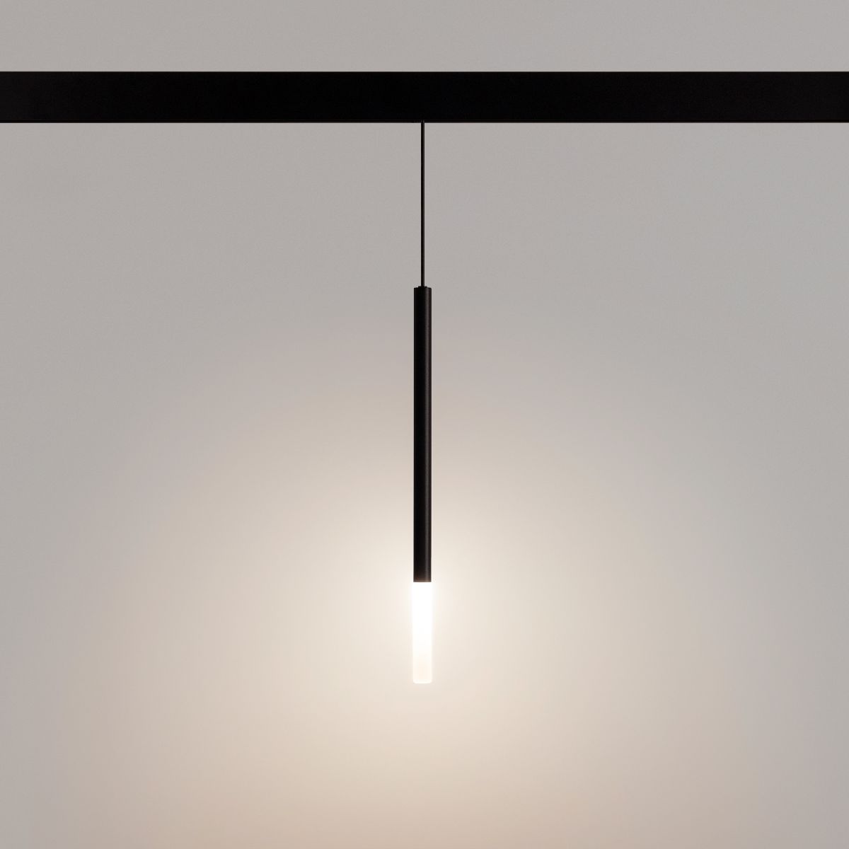 Трековый магнитный светильник Arlight MAG-ORIENT-STICK-HANG-R20-3W Day4000 (BK, 180 deg, 48V) 036541(1)
