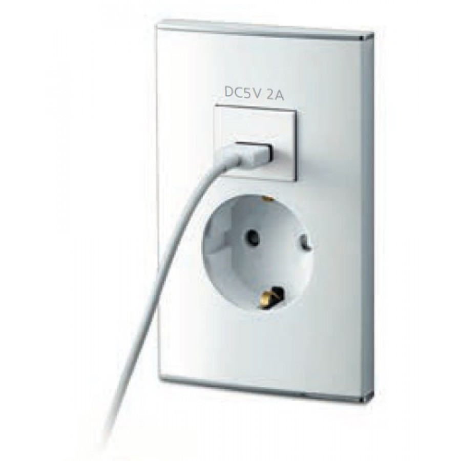 Розетка с USB SHIN DONG-A Parphenon WRC 4707
