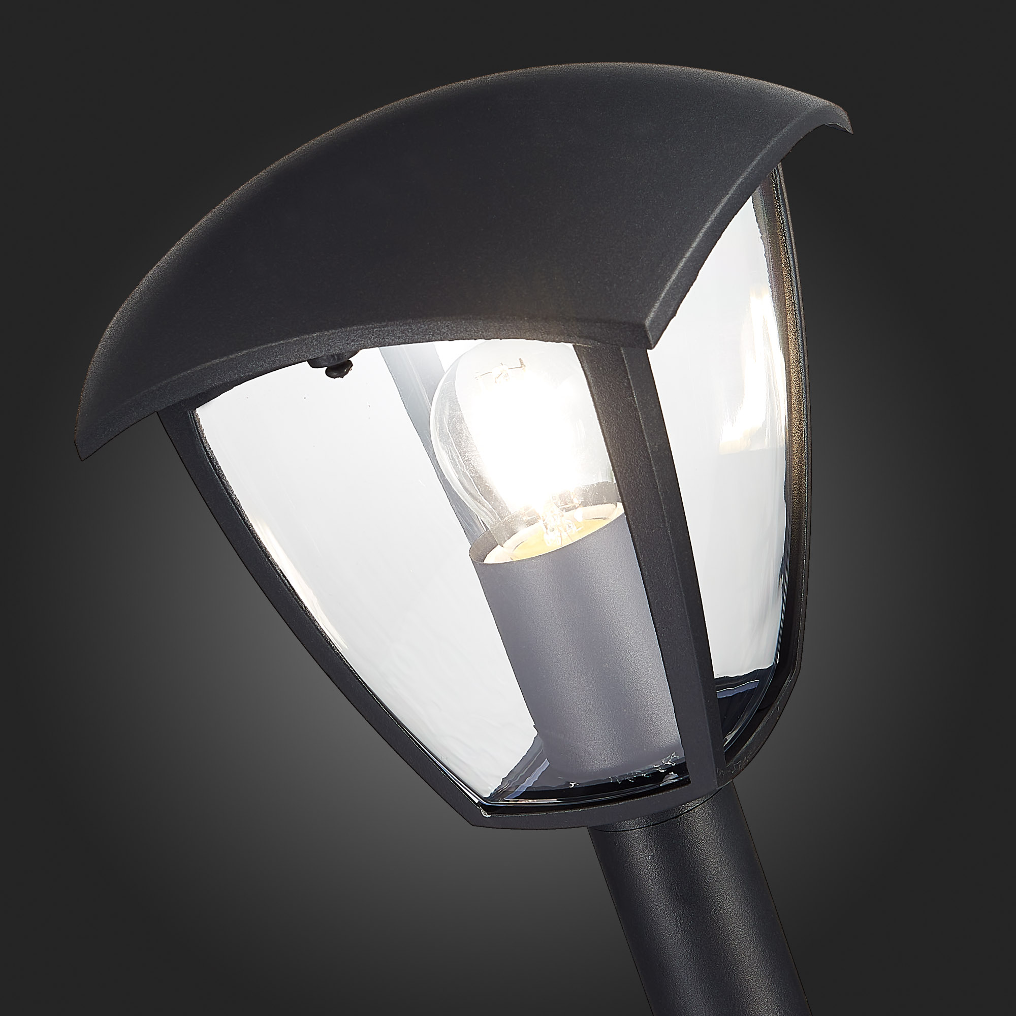 Уличный светильник ST Luce Sivino SL081.405.01 в Москве