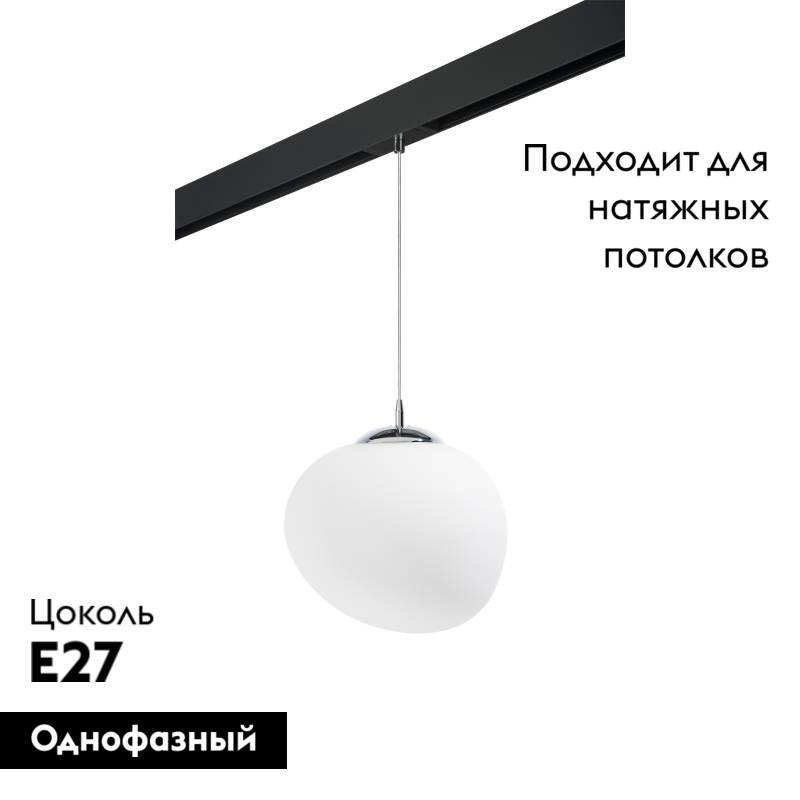 Трековый светильник Lightstar Arnia PRO805016 (805016+595007)