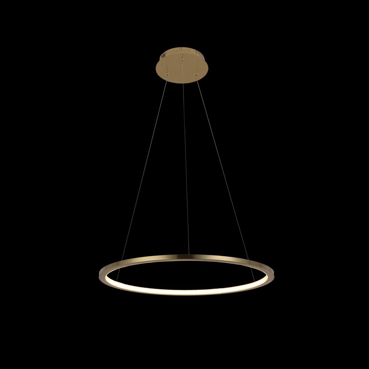 Подвесной светодиодный светильник на тросе Loft IT Ring 10014M