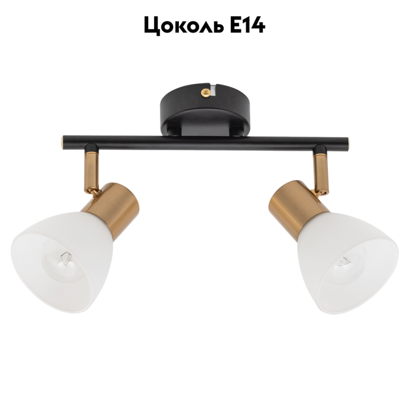 Спот Arte Lamp Falena A3117PL-2BK