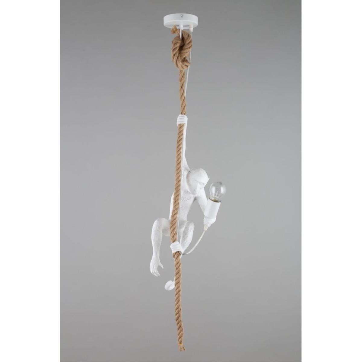 Подвесной светильник Aployt Magali APL.309.06.01