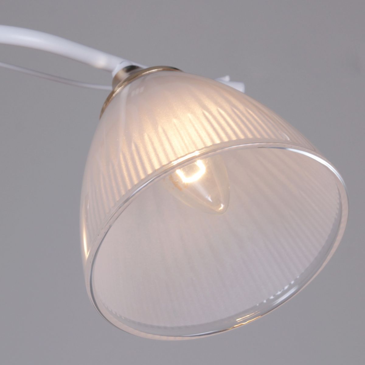 Потолочный светильник Reluce 64460-0.3-03 WH+FG