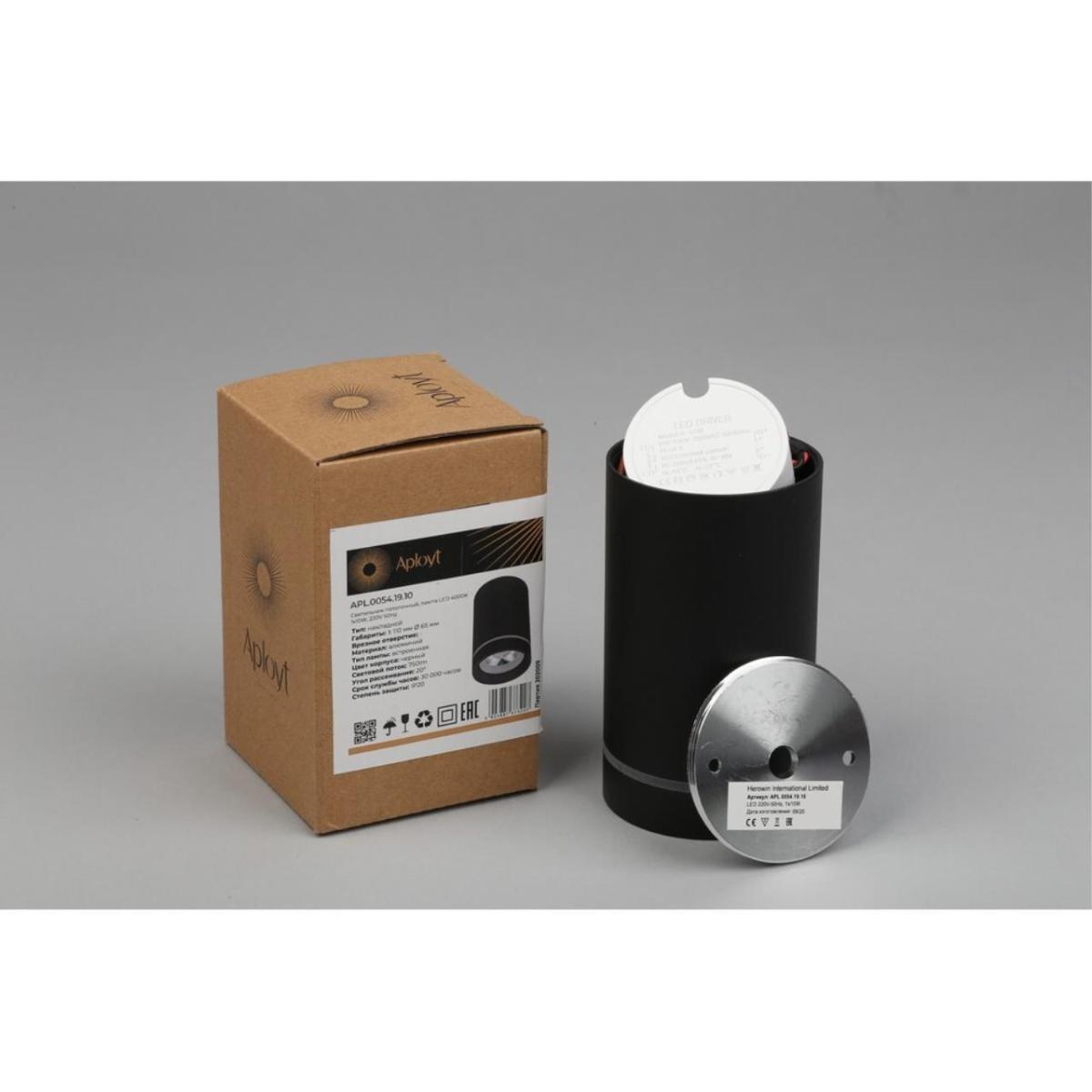 Потолочный светильник Aployt Edda APL.0054.19.10