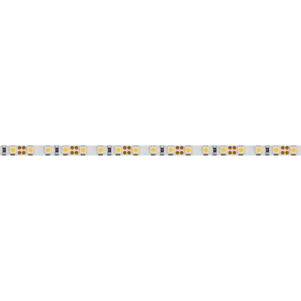 Светодиодная лента Arlight RT-A120-5mm 12V Cool 15K (9.6 W/m, IP20, 2835, 5m) 015212(2)