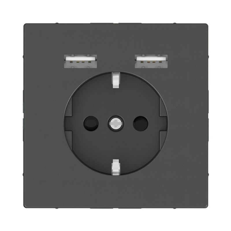 Розетка компьютерная USBx2 Schneider Electric Merten D-Life MTN2366-6034