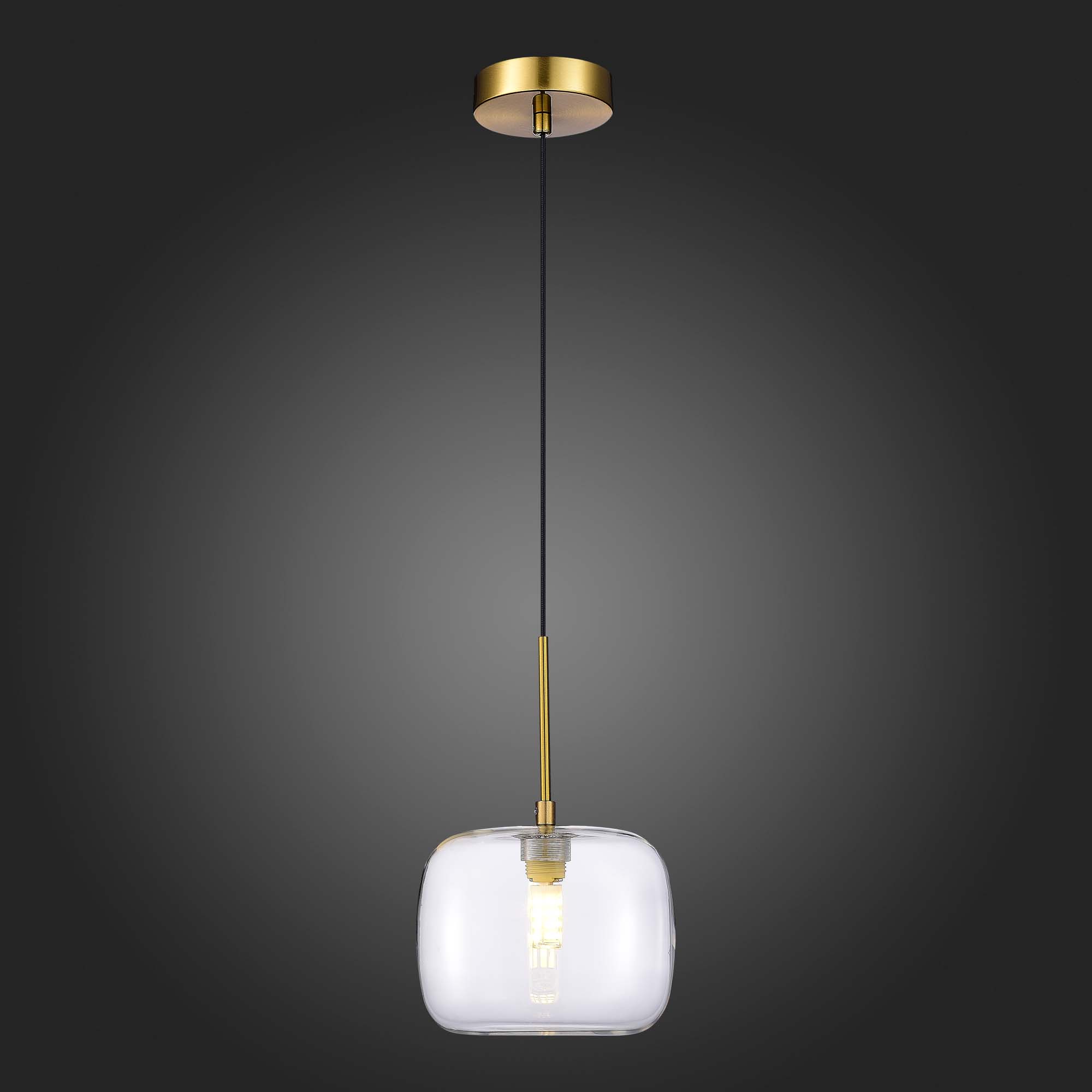 Подвесной светильник ST Luce Finn SL1049.303.01