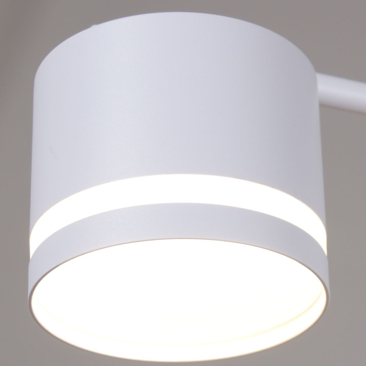 Люстра на штанге Reluce 26730-0.3-06 GX53 WT