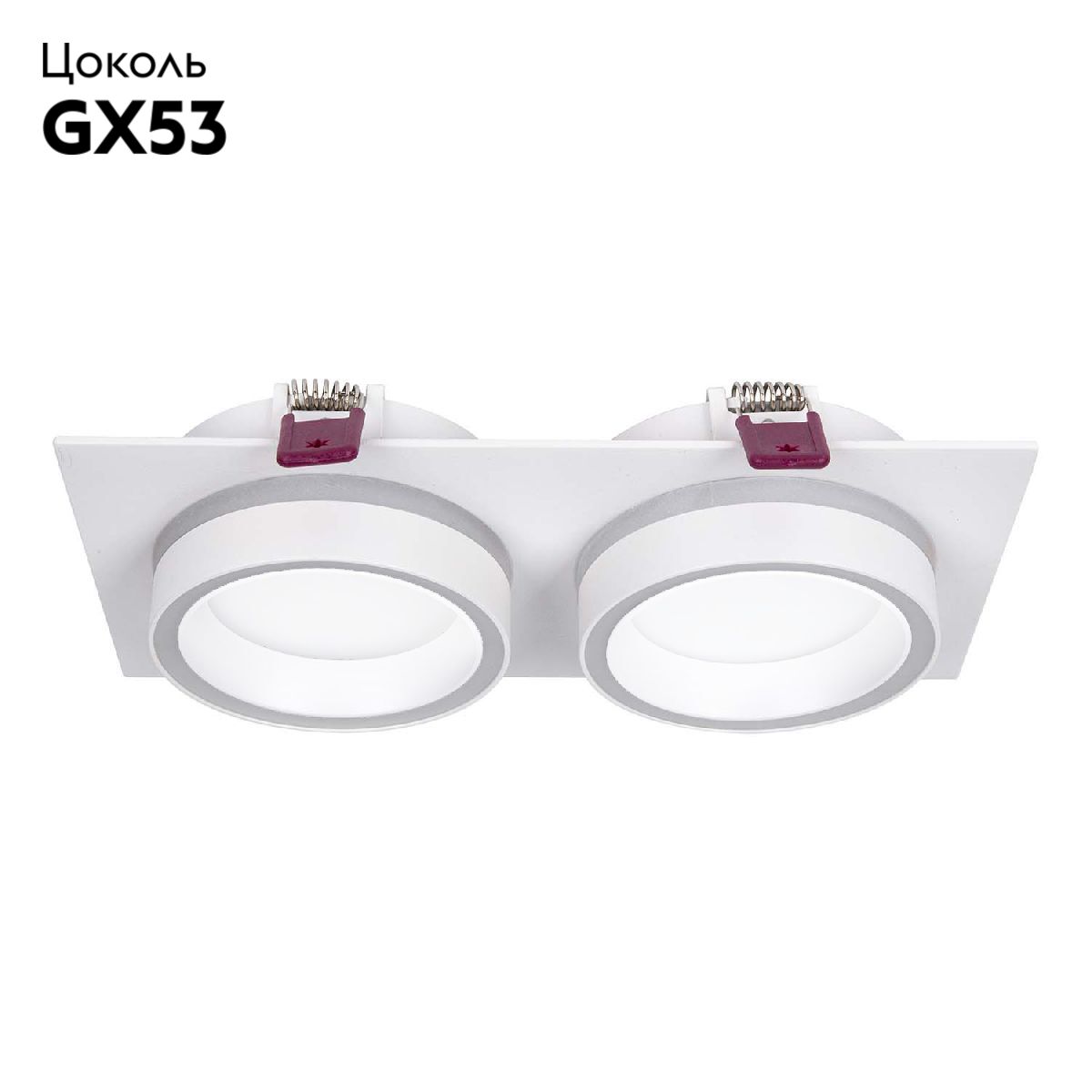 Встраиваемый светильник Favourite Vasto 4650-2C