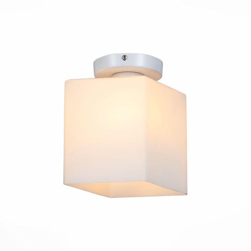 Настенно-потолочный светильник ST Luce Aspetto SL548.501.01